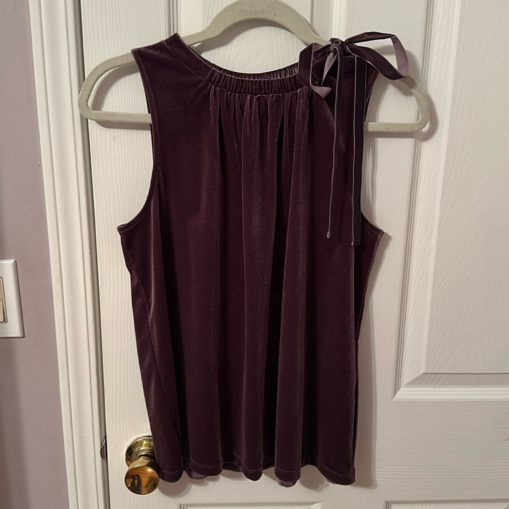 Ann Taylor: purple velvet blouse